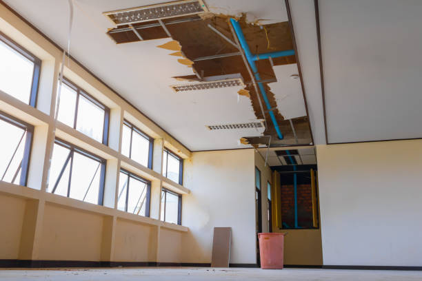 Best Ceiling water damage repair  in Barrett, TX