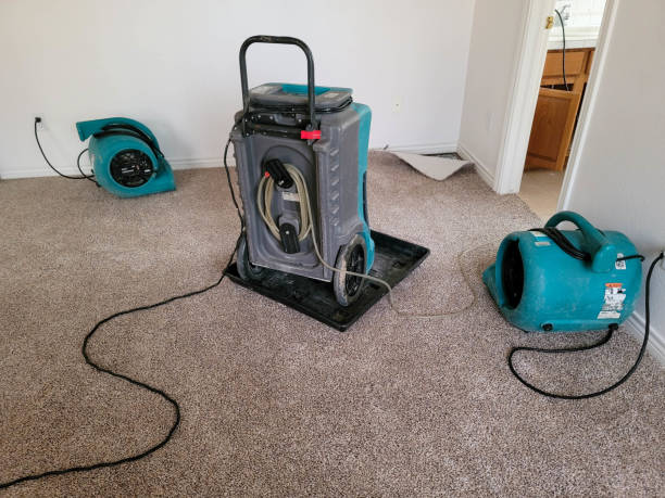 , TX Water damage restoration Company