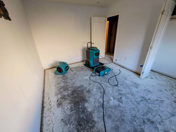 Best Local water damage restoration  in Barrett, TX