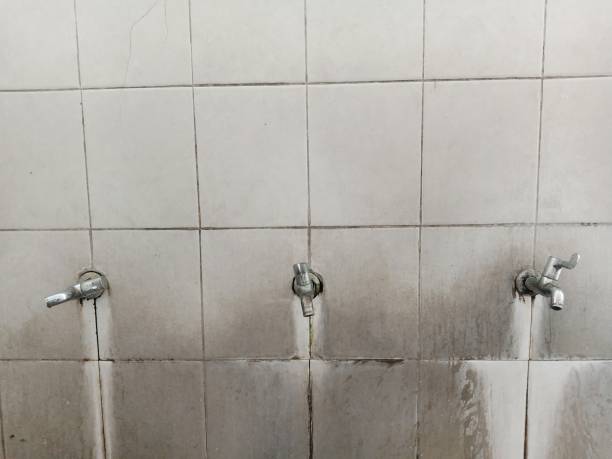 Best Water damage cleanup near me  in Barrett, TX