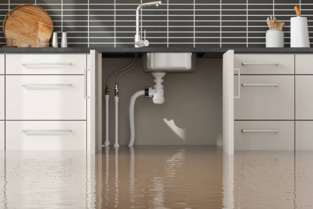 Best Flood restoration services  in Barrett, TX